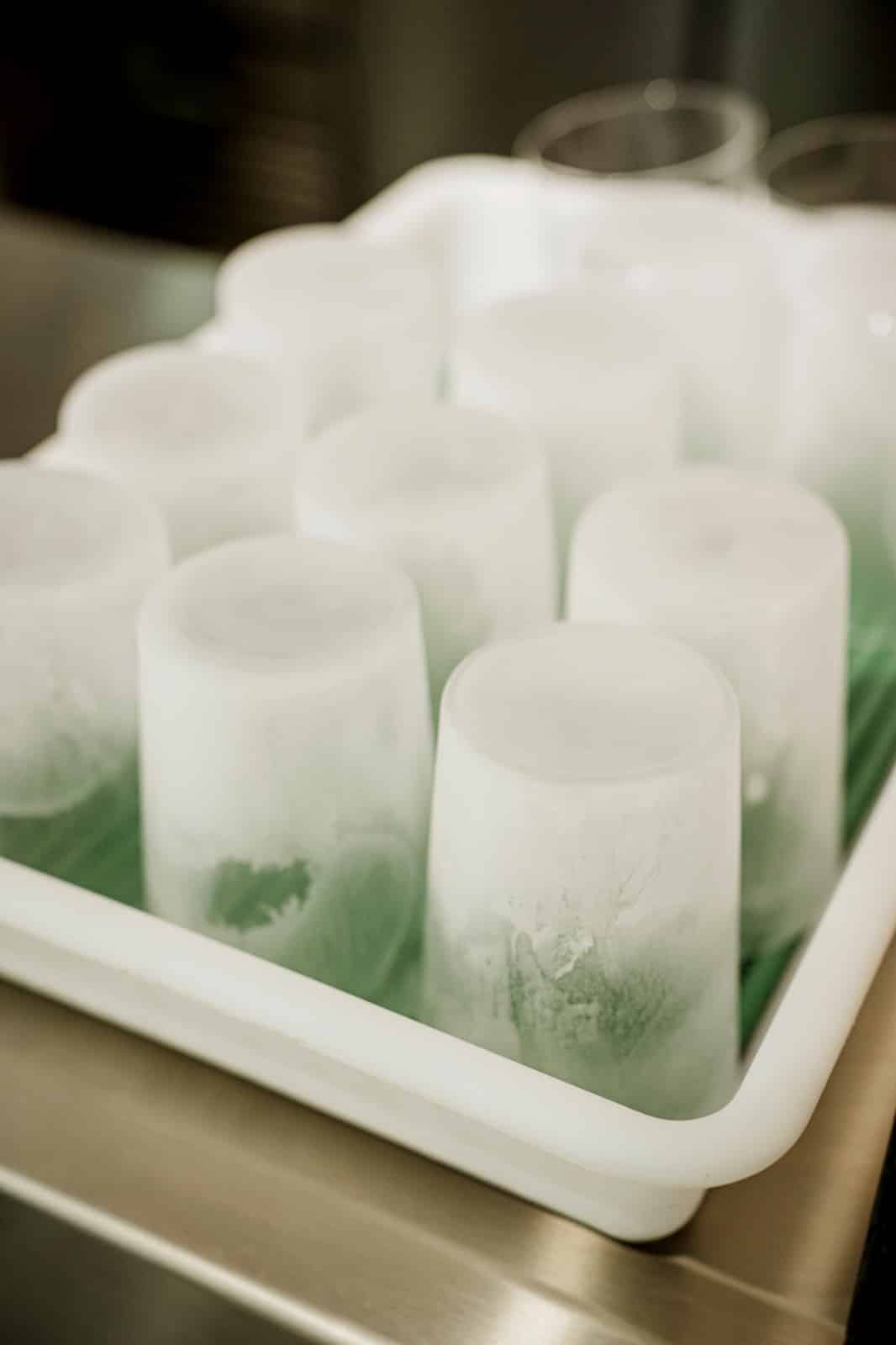 WhatsApp Image 2026-02-27 at 14.39.49 (5)